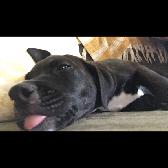 Meet your Posher, Megan - Picture 6 of 6